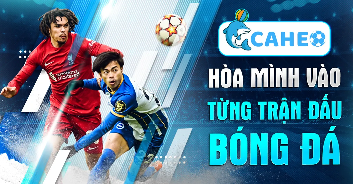 Trang trực tiếp bóng đá cá heo tv